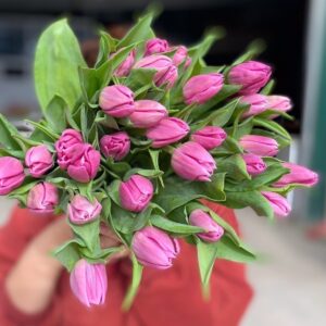 Bó hoa tulip đẹp - món quà ngọt ngào